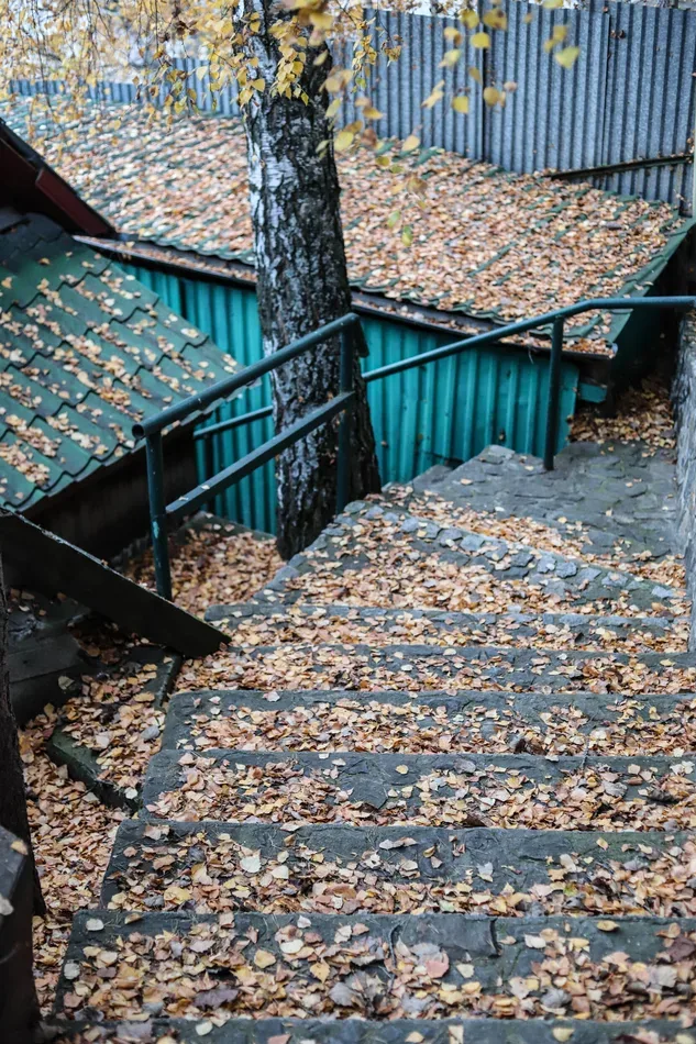 Солнечный берег