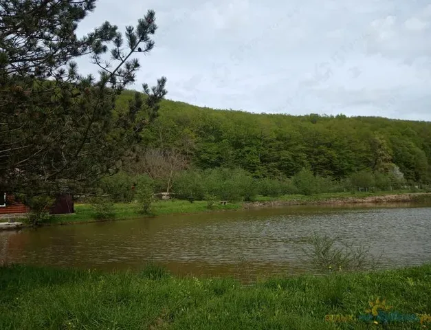 База отдыха Лесной дворик