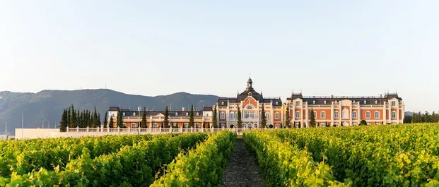 Винодельня Château de Talu