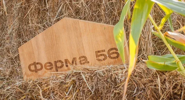 Ферма 56