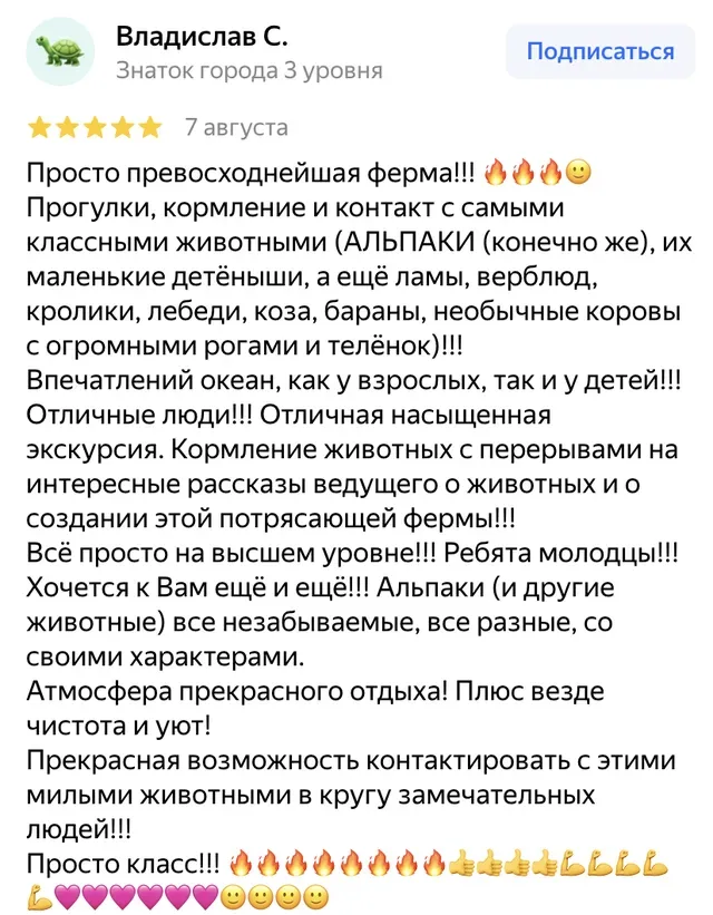 Ферма «Российские альпаки» (Альпака Парк)