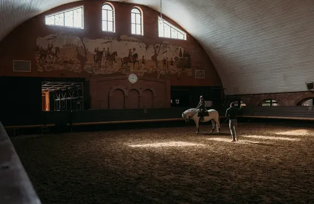 Few Horses