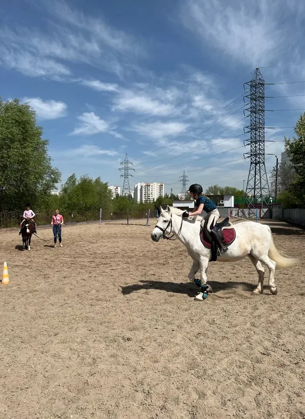 Конно-спортивный клуб «Колибри»