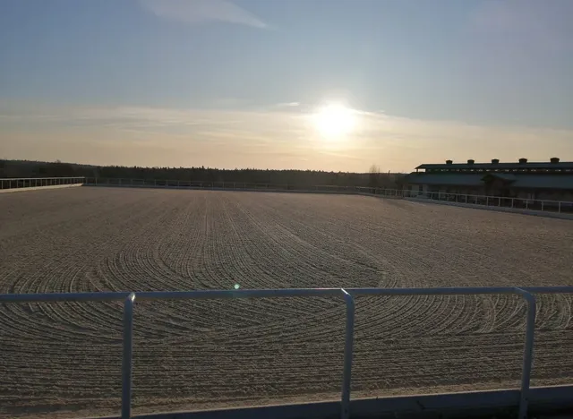 Конный клуб Kartsevo Kings Stables