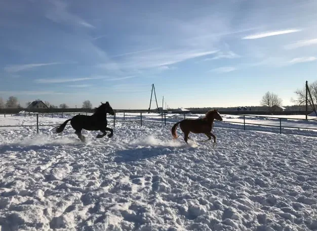 КСК Румянцево