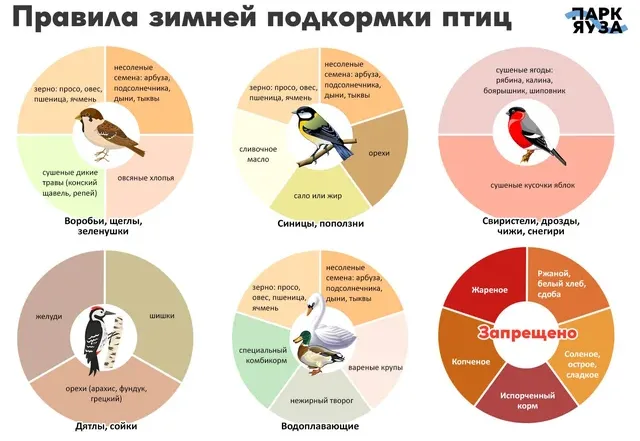 Парк Яуза