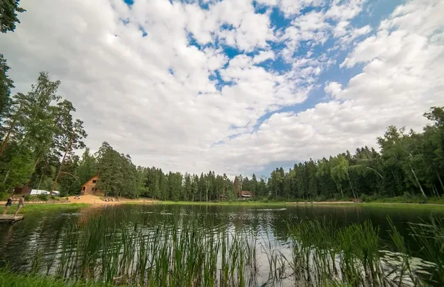 Царский лес