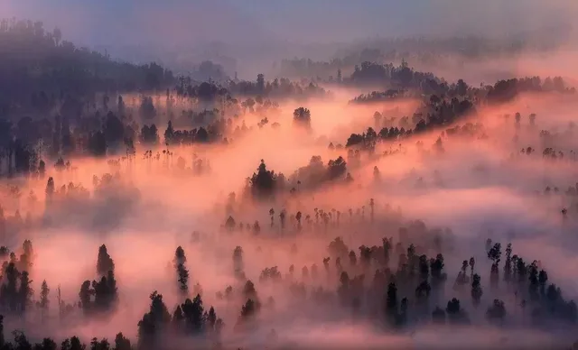 Mystic Hills
